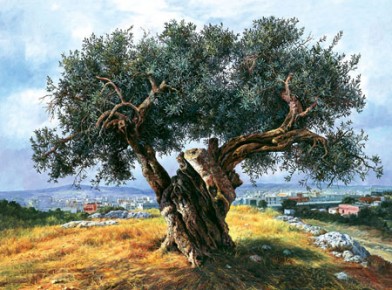 Bizart KSMS 4907  Πίνακας σε καμβά