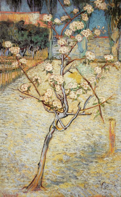 RD 1134
